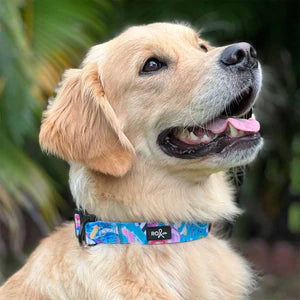 Ruby Olive Jungle Dog Collar (3 Sizes available)